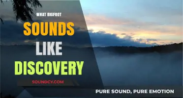 Unveiling Bigfoot's Mysterious Calls: A Startling Audio Discovery Revealed