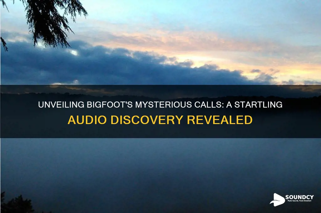 what bigfoot sounds like discovery