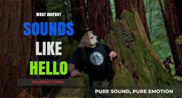 Unveiling Bigfoot's Mysterious Vocalizations: Decoding the 'Hello' in the Woods