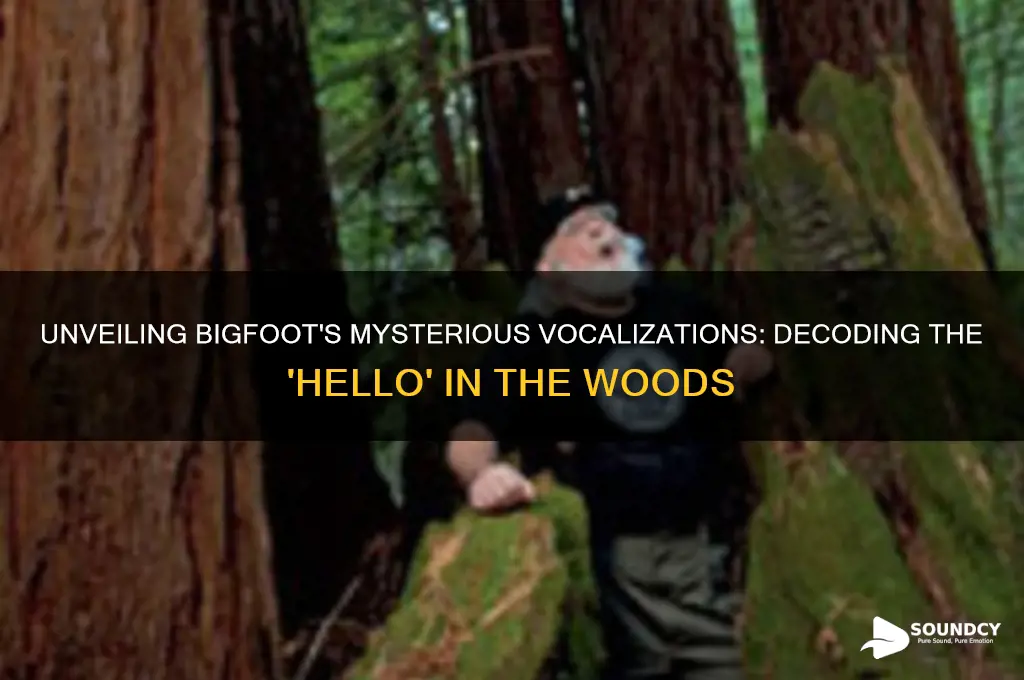 what bigfoot sounds like hello