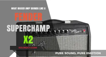 Exploring the Sonic Landscape: Alternatives to the Fender Superchamp X2