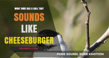 Nature's Menu: The Bird That Caws 'Cheeseburger