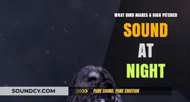 Which Bird's High-Pitched Nighttime Song Keeps You Awake?