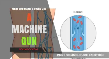 Nature's Artillery: The Astonishing Bird That Sounds Like a Machine Gun