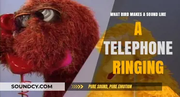 Nature's Ringer: The Avian Equivalent of a Telephone Call