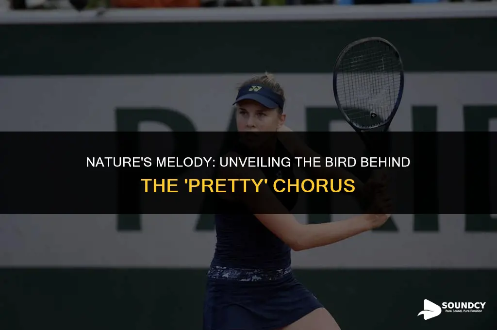 what bird makes a sound like pretty pretty pretty