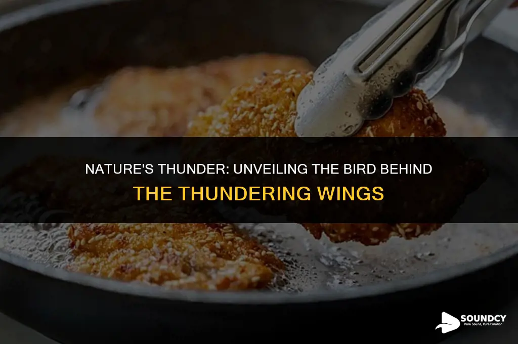 what bird makes a thuding sound with its wings