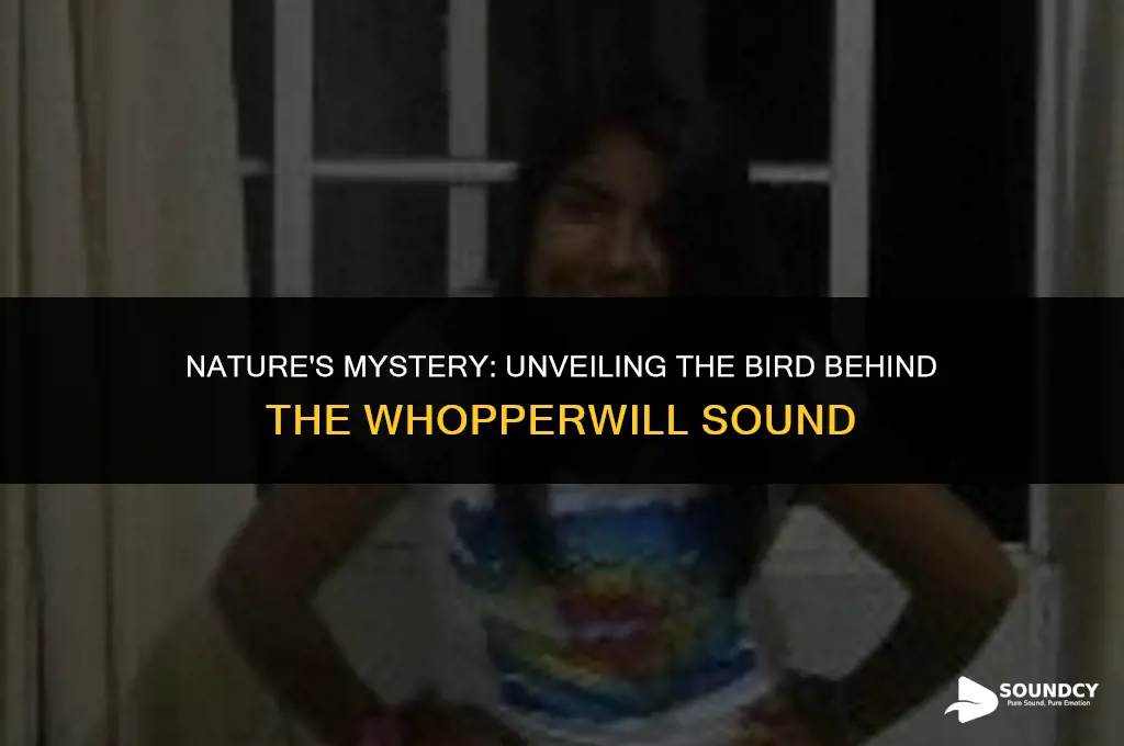 what bird makes a whoperwill sound with its wings