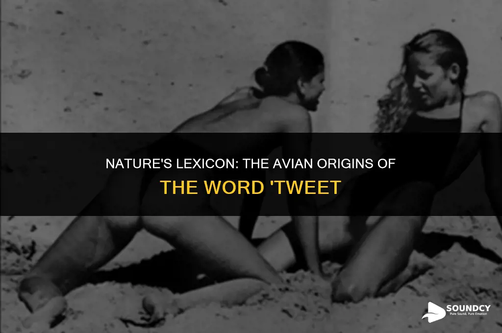 what bird makes sound that sounds like word tweet