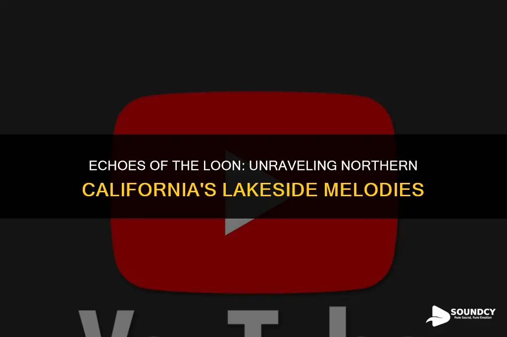 what bird makes the sound in northern california lakes