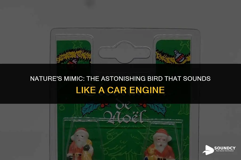 what bird sounds like a car trying to start