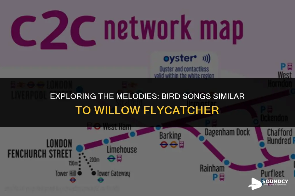 what bird sounds like a willow flycatcher but lower