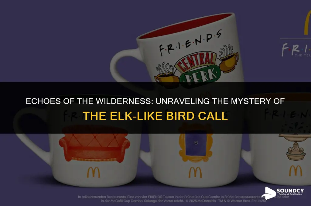 what bird sounds like an elk in the lake