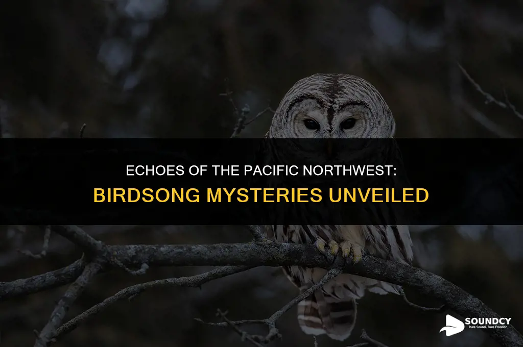 what bird sounds like an owl in western washington