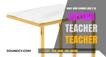 Nature's Classroom: The Bird That Sounds Like It's Saying 'Teacher, Teacher