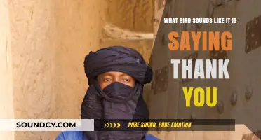 Nature's Polite Chorus: The Bird That Says 'Thank You