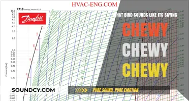 Nature's Mimic: The Bird That Says 'Chewy Chewy Chewy