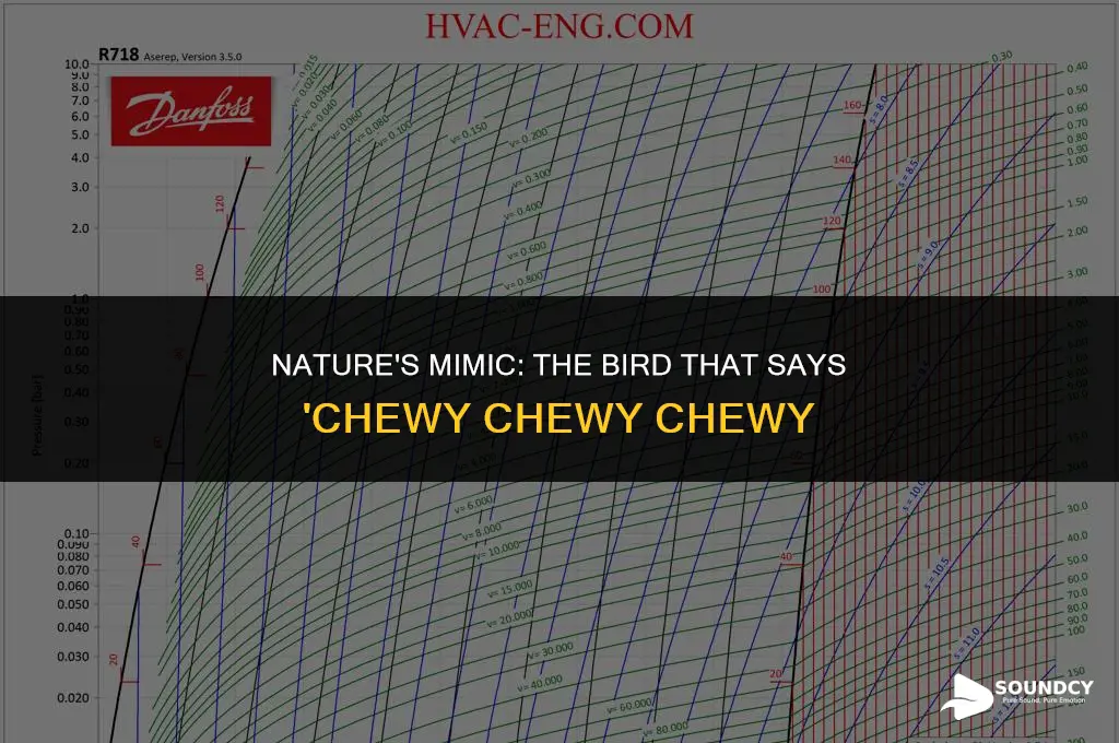 what bird sounds like its saying chewy chewy chewy