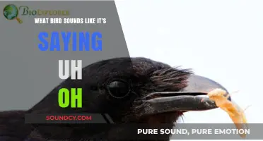 Nature's Alarm: The Surprising 'Uh-Oh' Bird Call Explained
