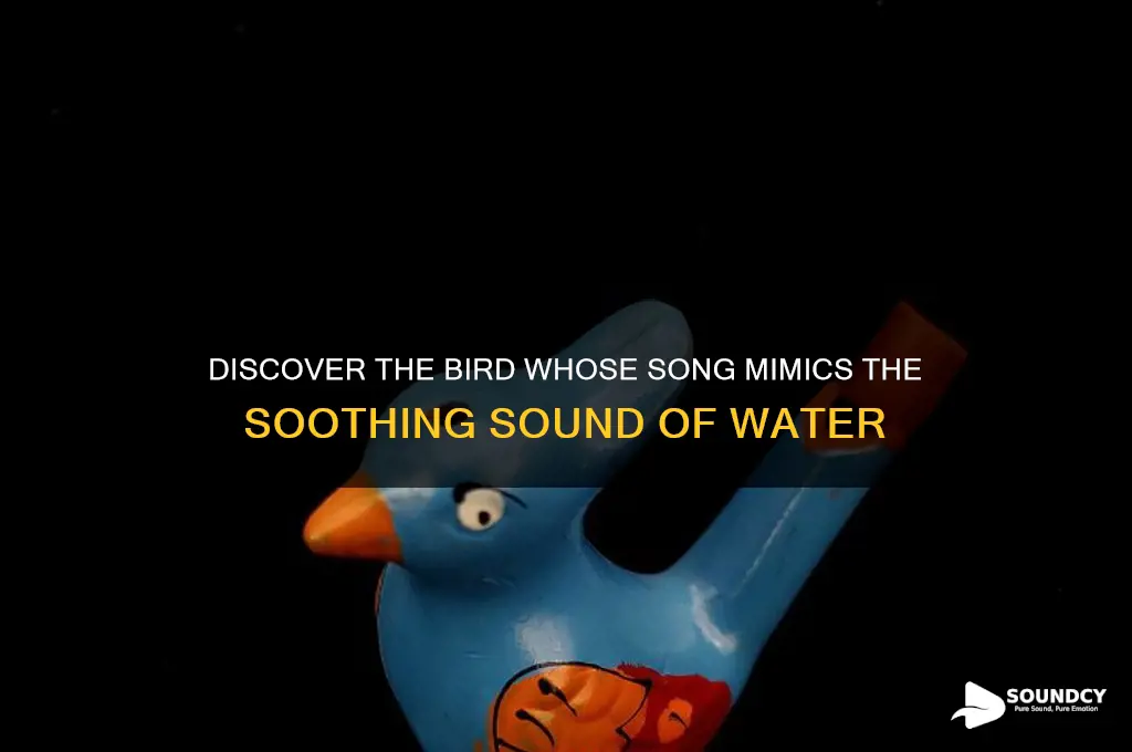 what bird sounds like water