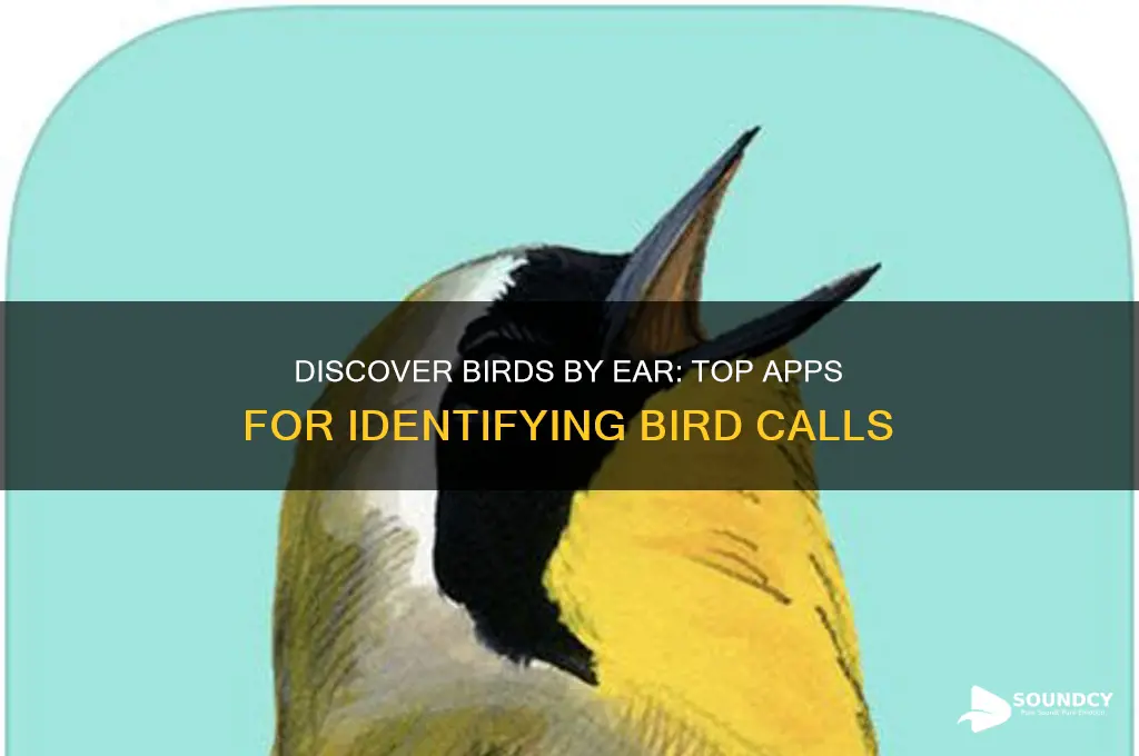 what birding app by sound