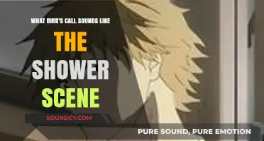 Nature's Soundtrack: The Avian Shower Scene Doppelgänger