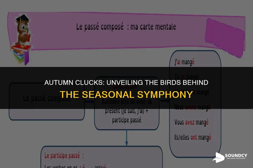 what birds make a clucking sound in the fall