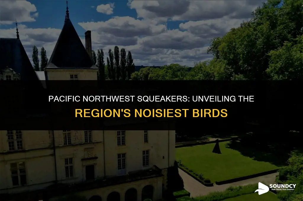 what birds makes a squeaking sound in pacific northwest