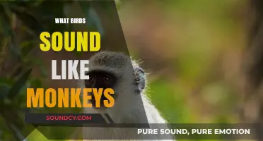 Monkey Mimics: Birds That Sound Like Primates in the Wild