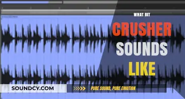 Exploring the Unique, Distorted Sound of Bit Crushers in Music
