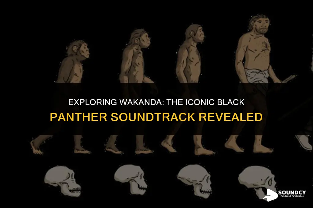 what blac panther sound track was in the movie