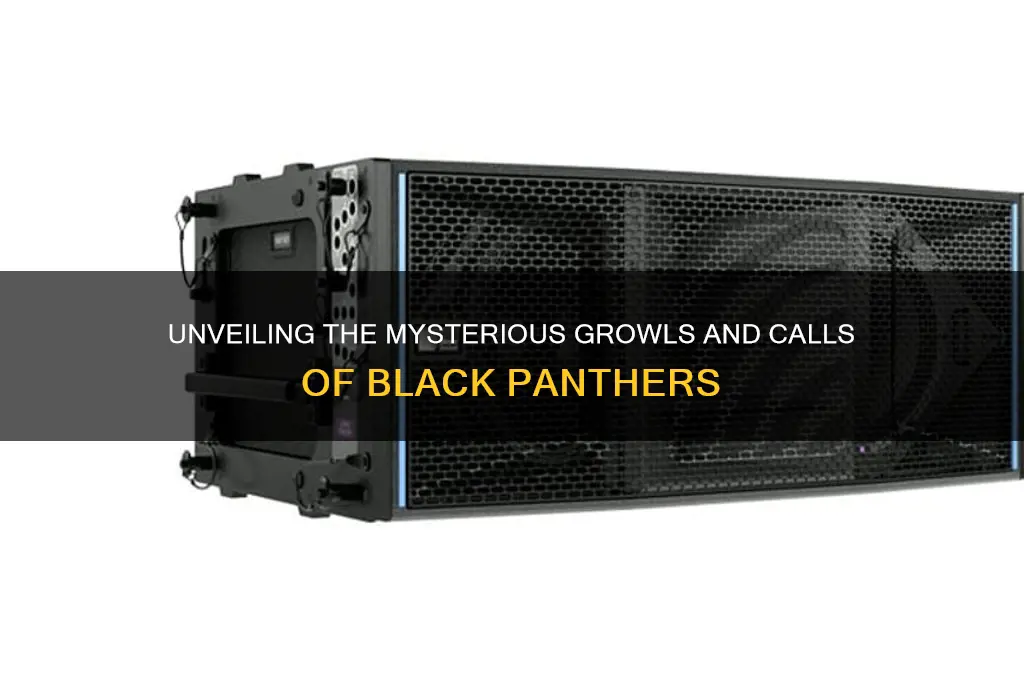what black panther sound like