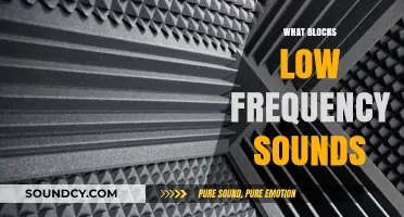 Understanding Barriers: What Blocks Low-Frequency Sounds in Everyday Environments