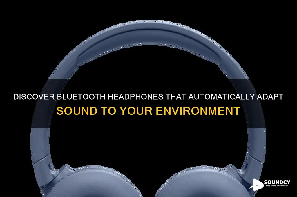 what bluetooth headphones adapt sound