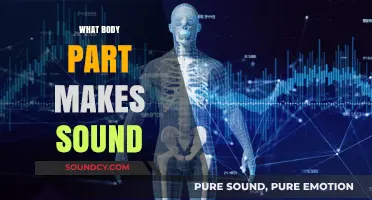 Unveiling the Surprising Body Part That Produces Unique Sounds