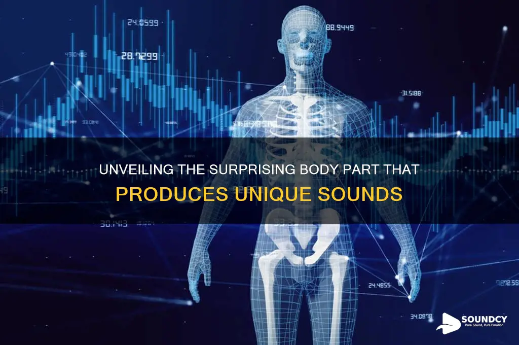 what body part makes sound