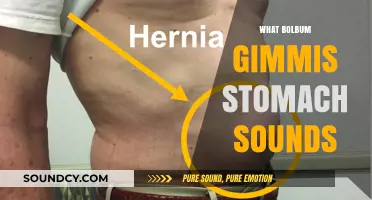 Understanding Bolbum Gimmis' Stomach Sounds: Causes and Concerns