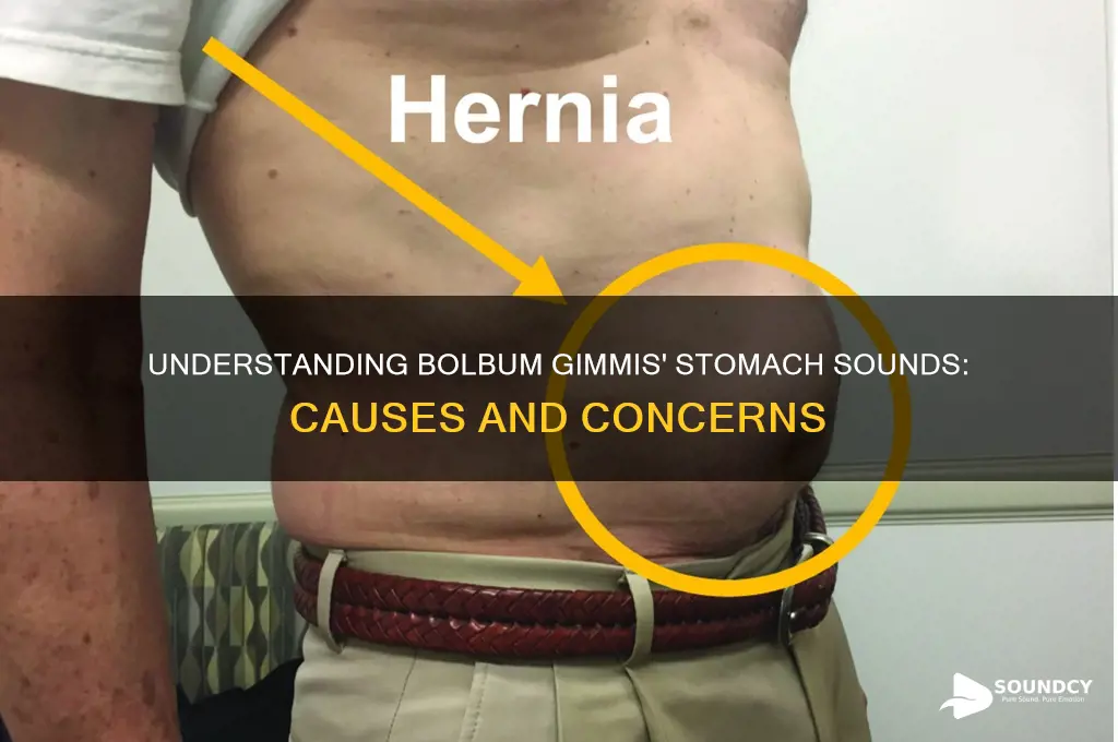 what bolbum gimmis stomach sounds