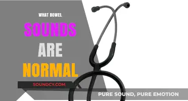 Understanding Normal Bowel Sounds: What to Listen For and Why