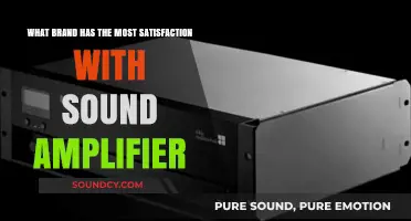 Top Sound Amplifier Brands Ranked by Customer Satisfaction