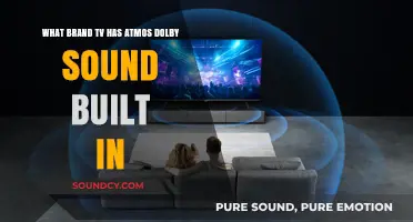 Exploring TVs with Built-in Dolby Atmos Sound: A Brand Guide