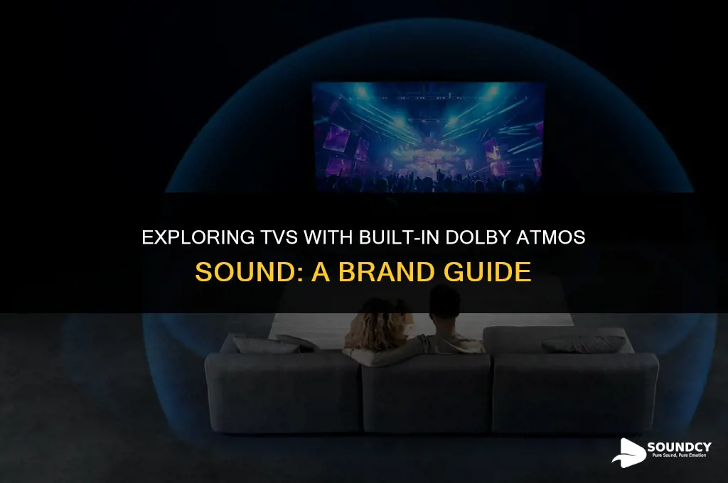 what brand tv has atmos dolby sound built in