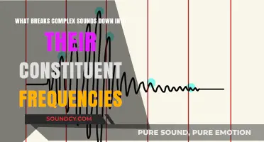 Unraveling the Spectrum: How Complex Sounds Decompose into Frequencies