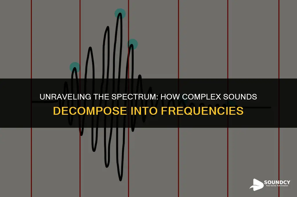 what breaks complex sounds down into their constituent frequencies