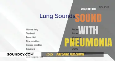 Understanding Pneumonia: Identifying Abnormal Breath Sounds and Symptoms