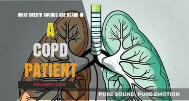 Exploring the Respiratory Symphony: Breath Sounds in COPD Patients