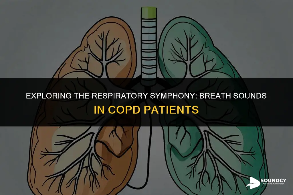 what breath sounds are heard in a copd patient