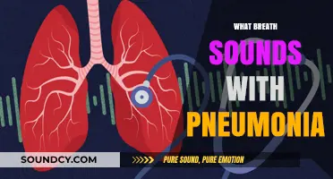 Understanding Pneumonia: Identifying Abnormal Breath Sounds and Their Significance