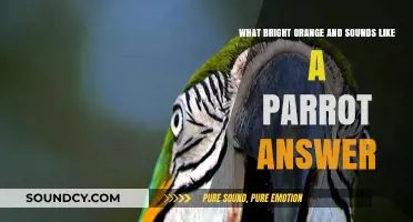 Squawk! Discover the Vibrant World of Orange Parrots