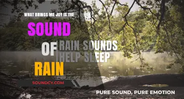 Melodies of Bliss: The Serene Symphony of Raindrops